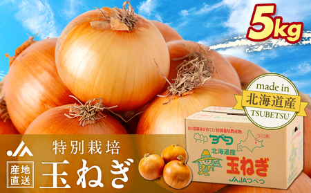 【先行受付】R8年産 特別栽培玉ねぎ 5kg | 玉ねぎ たまねぎ タマネギ 玉葱 大容量 オニオン 甘い 減農薬 特別栽培 国産 カレー ハンバーグ 煮込み 炒め物 北海道 津別町 送料無料