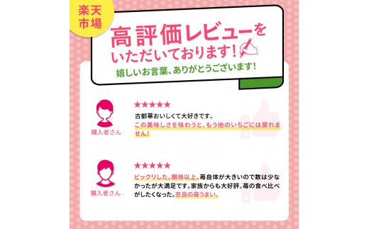 いちご 3回定期 古都華 約1000g 250g×4パック 先行予約 高評価 冷蔵配送 フルーツ 果物 旬 産地直送 農家直送 完熟 旬の果物 お取り寄せ おやつ デザート ことか イチゴ 冷蔵 奈良