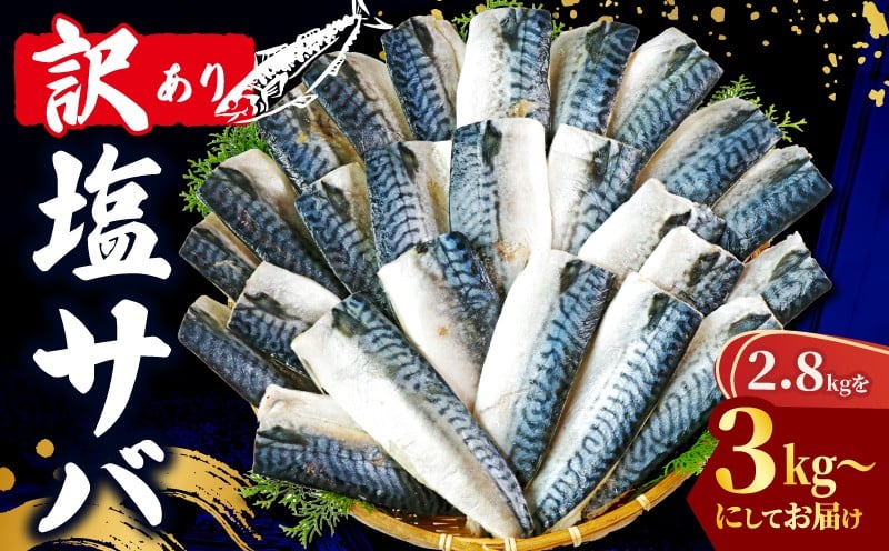 
            訳あり 塩さば フィレ 選べる容量 約3kg ~ 約3.6kg 期間限定 増量 中 数量限定 鯖 さば 塩サバ 塩鯖 訳アリ 訳有 規格外 不揃い 切身 切り身 フィーレ 塩焼き 鯖サンド 鯖バーガー 大容量 人気 冷凍 冷凍食品 魚 魚介 魚貝 魚介類 おかず つまみ 酒 お酒 さけ 弁当 惣菜 食品 冷凍食品 グルメ 贈答 贈物 贈り物 ギフト ふるさと納税 送料無料 千葉県 銚子市 辻野 
          