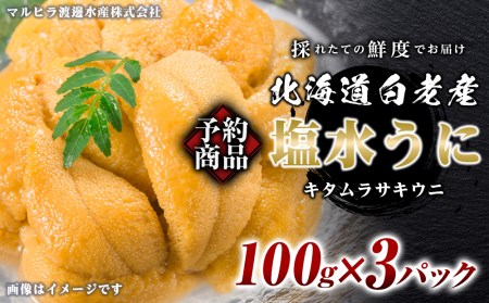 2026年 発送予約 ウニ本来の味が楽しめる【白老産】塩水ムラサキウニ 100g×3パック BT009 北海道ふるさと納税 北海道 ウニ うに 雲丹 むらさきうに 塩水 塩水ウニ