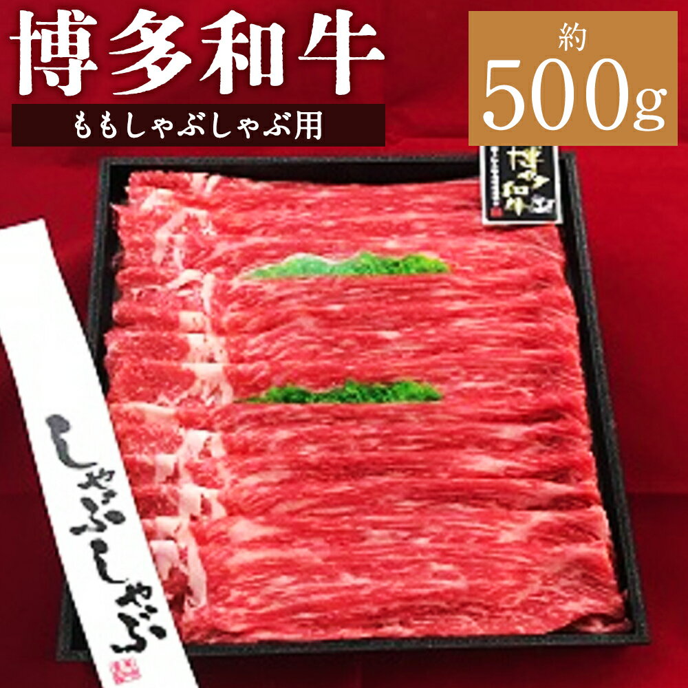 【ふるさと納税】A5等級 博多和牛 もも しゃぶしゃぶ用 約500g 和牛 牛肉 お肉 もも肉 モモ肉 冷凍 福岡県産 国産 九州 福岡県 柳川市 送料無料