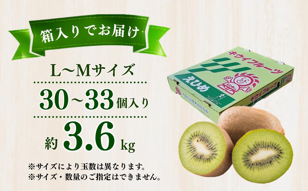 【先行予約】キウイフルーツ 30～33玉 約3.6kg 定数詰 秀M～L キウイ キウイフルーツ きういふるーつ 国産 果物 人気 生産量 日本一 先行予約 先行受付