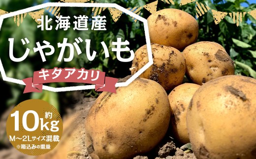 北海道産 じゃがいも キタアカリ M～2Lサイズ混載 約10kg 1箱  【2026年9月下旬-2027年1月上旬迄発送予定】