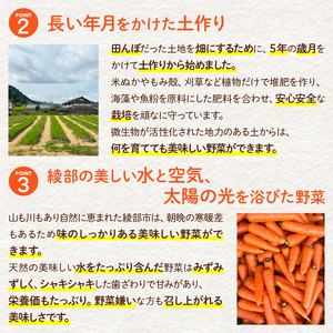 無農薬 季節の野菜セットM（約4kg） / 野菜 詰め合わせ 産地直送 綾部市 / ともときファーム丹波［BSBG007］