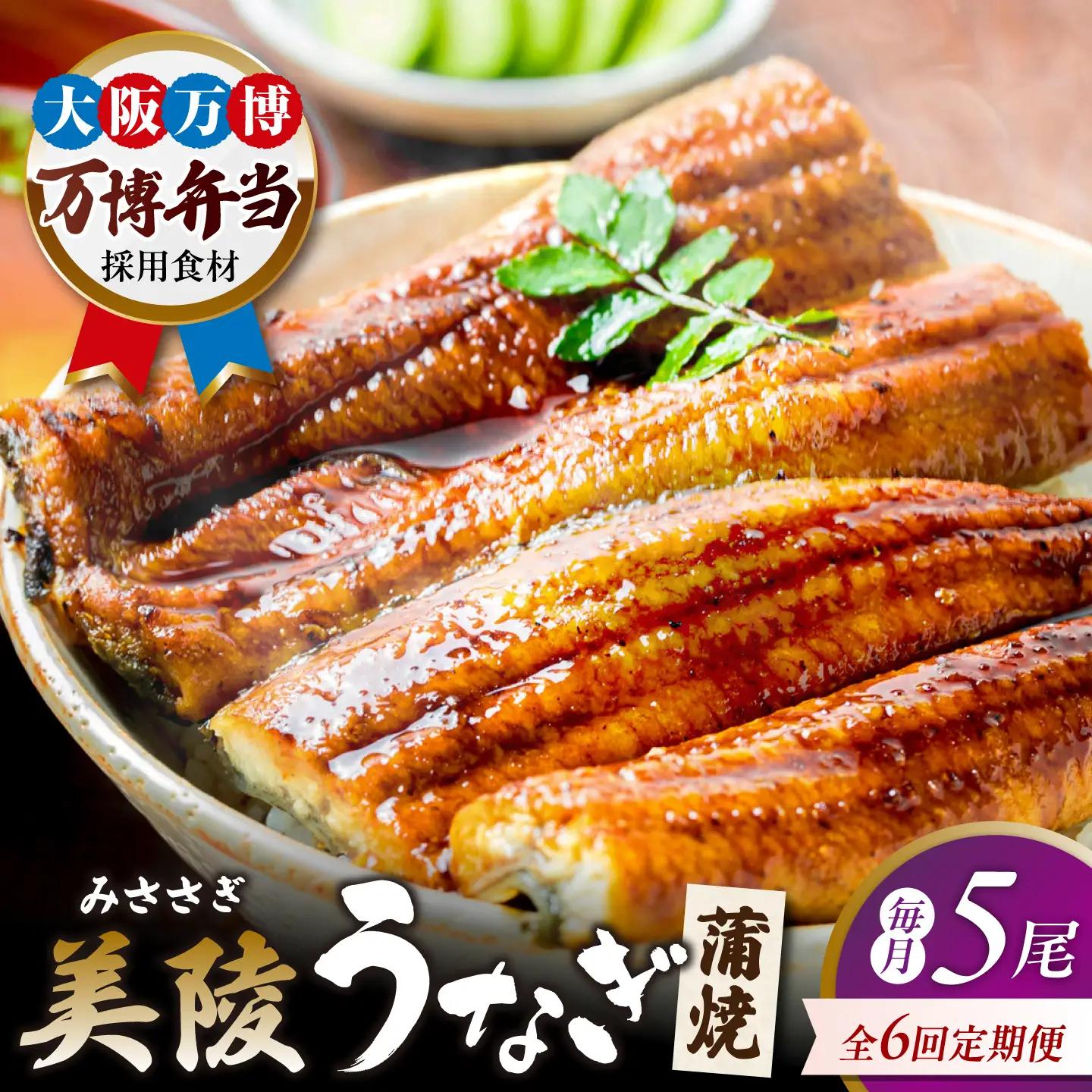 【6回定期便】鰻 鰻の蒲焼 5尾 BLAM019