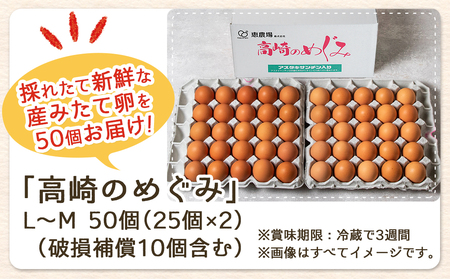 アスタキサンチン入り赤卵「高崎のめぐみ」50個_AA-6801_(都城市) 赤卵(50個 L～Mサイズ) 採れたて 新鮮たまご 卵かけご飯　お菓子作り 玉子料理 美容 健康 アスタキサンチン入り