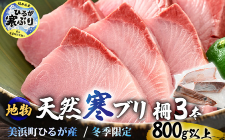 【先行予約】天然！地物！ひるがの寒ぶり 柵3本【合計800g以上】【2025年12月中旬以降順次発送予定】【ブランド 寒ブリ 寒鰤 かんぶり ぶり ブリ 鰤 ブリトロ ぶりとろ 新鮮 生食 刺身 海鮮丼 ぶりしゃぶ 日向 福井 冬の味覚 海鮮 冷凍 プレゼント】 [m36-b013]