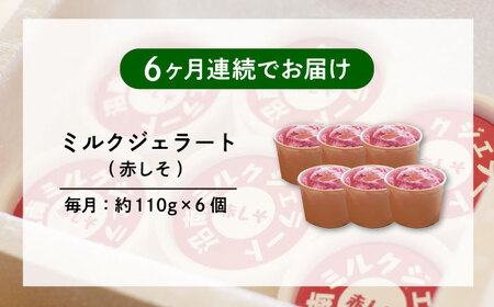 【全6回定期便】沼南ミルクジェラート 赤しそ ６個　アイス  赤しそ  アイス アイスクリーム デザート スイーツ ご当地 広島県福山市/甚ごろう[BAEC040]