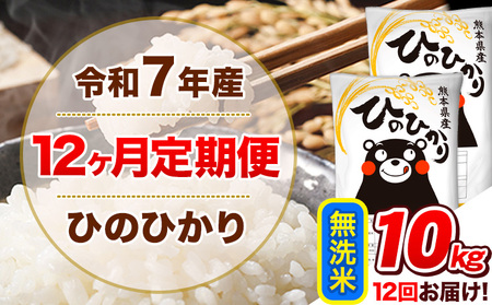 無洗米 12か月定期便 ひのひかり 10kg 無洗