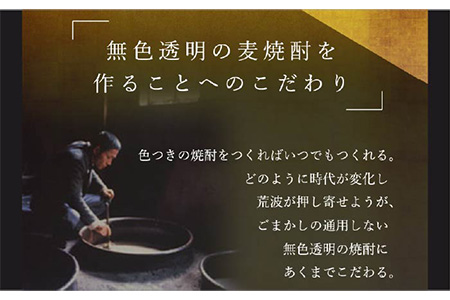 【全3回定期便】隆美焼酎25度と壱岐スーパーゴールド33度のセット [JDB195] 48000 48000円 