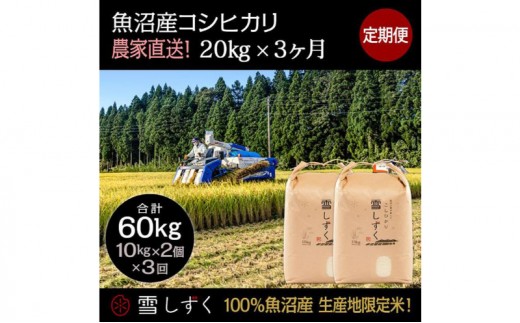 
                  【令和7年産】定期便！魚沼産コシヒカリ【合計60kg】毎月20kg×3回 お米 ブランド米 銘柄米 精米 白米 ご飯 おにぎり お弁当 和食 産地直送 
                