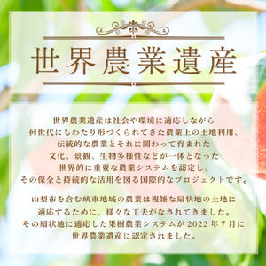 【先行受付　2024年発送】採れたて新鮮!!完熟桃白鳳系1kg以上(3～5玉) ふるさと納税【配送不可地域：離島】【1277545】