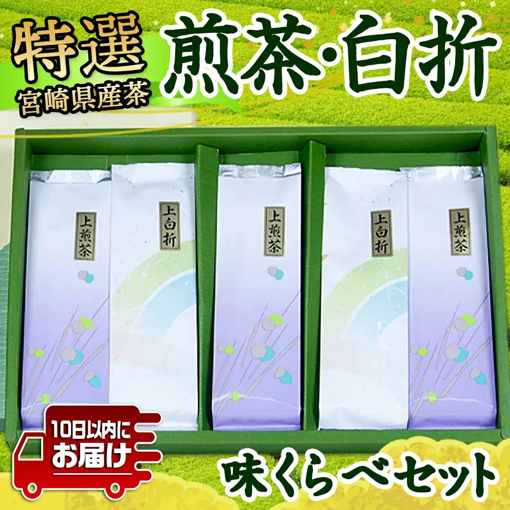 ≪特選茶≫煎茶・白折味くらべセット≪みやこんじょ特急便≫_MJ-4804-Q_(都城市) 茶葉 上煎茶 100g×3本 上白折 100g×2本 お茶の産地 都城盆地 最高級品 ホット 冷茶 日本茶 せ