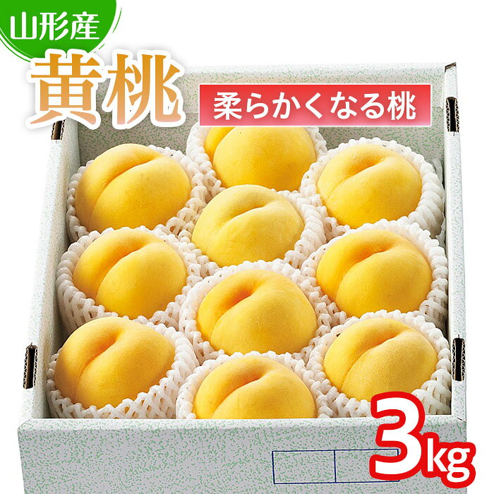 【ふるさと納税】 山形の桃(黄桃) 3kg(6〜12玉)(品種おまかせ)[柔らかくなる桃] 【令和8年産先行予約】FU22-179 フルーツ くだもの 果物 お取り寄せ 先行予約