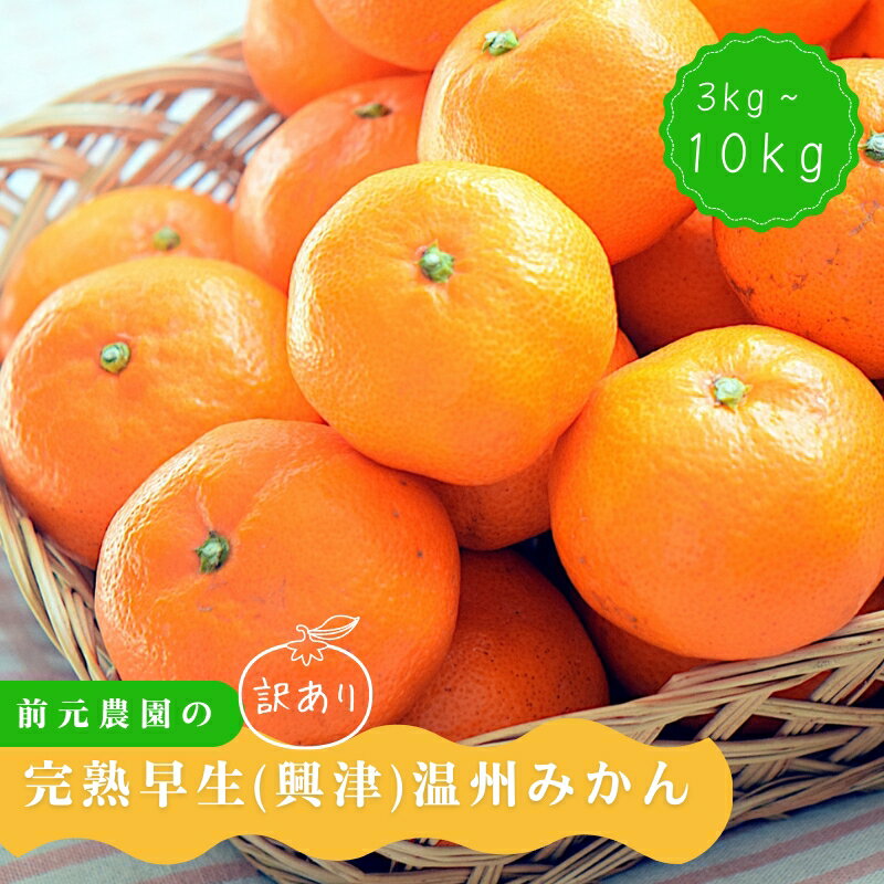 【ふるさと納税】 訳あり みかん 前元農園の 完熟中生(なかて) 温州みかん 3Kg 5kg 10kg S-M or L サイズ 【サイズ・容量が選べる】 くだもの フルーツ 果物 家庭用 人気 みかん ミカン 柑橘 訳あり わけあり 数量限定 旬 【1月初旬〜下旬に順次発送】