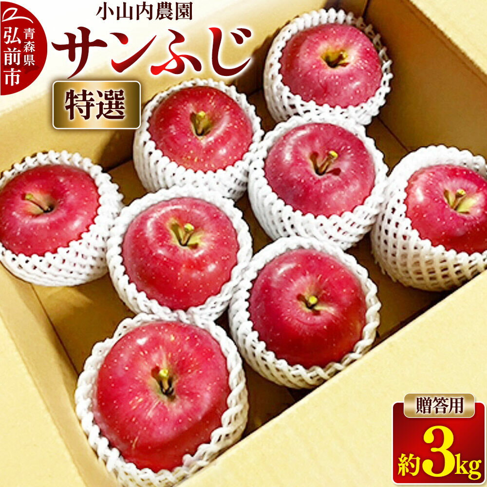 【ふるさと納税】【26年12月発送】りんご サンふじ【特選】贈答用 約3kg 小山内農園【先行予約】 [先行受付 弘前市産 青森りんご 果物 フルーツ デザート 食後 青森県産 産地直送 贈り物 青森 果物 フルーツ 林檎 リンゴ くだもの]