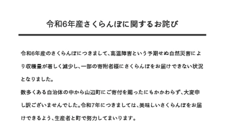 《先行予約》2024年 山形県産 「真夏のルビー紅姫」 本詰 約1kg L～2L やまのべ多田耕太郎のさくらんぼ サクランボ F20A-792
