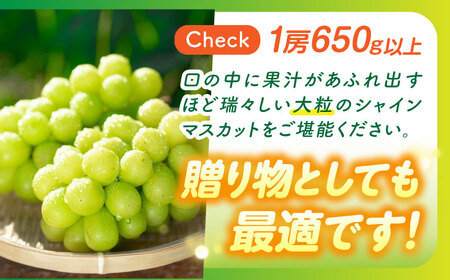 【数量限定】【口の中であふれる果汁】大粒 シャインマスカット 2房 1.4kg以上 / ぶどう ブドウ フルーツ 果物 / 南島原市 / 川田果樹園[SFN001]