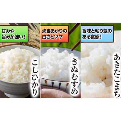 ふるさと納税 矢掛町 青空市きらりのお米 10kg《30日以内に発送予定(土日祝除く)》 |  | 03