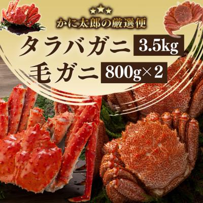 ふるさと納税 旭川市 かに太郎の厳選便　タラバガニ3.5kg×1尾　毛ガニ800g×2尾_03506