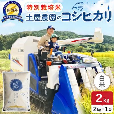 ふるさと納税 佐渡市 令和7年産 佐渡島産コシヒカリ 白米2kg 土屋農園 農家直送 特別栽培米