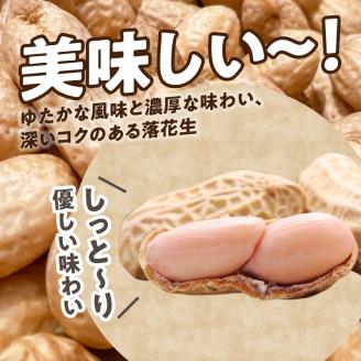 【先行予約】夏本番！珊瑚の島から贈り物！沖永良部島の赤土 生落花生1.5キロ！【7月中旬～9月上旬】