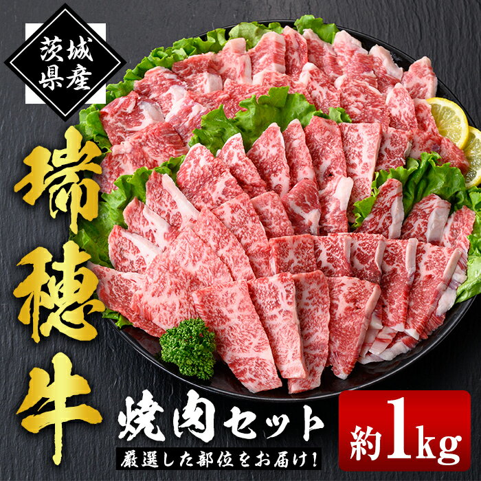 【ふるさと納税】瑞穂牛焼肉セット 1.0Kg 牛肉 やきにく バラ 肩ロース 肩 肩バラ トモサンカク イチボ ブランド牛 冷凍配送 茨城県 お中元 焼肉の日 敬老の日 常陸牛 焼肉 盛り合わせ 食べ比べ 国産 肉 BBQ セット 送料無料