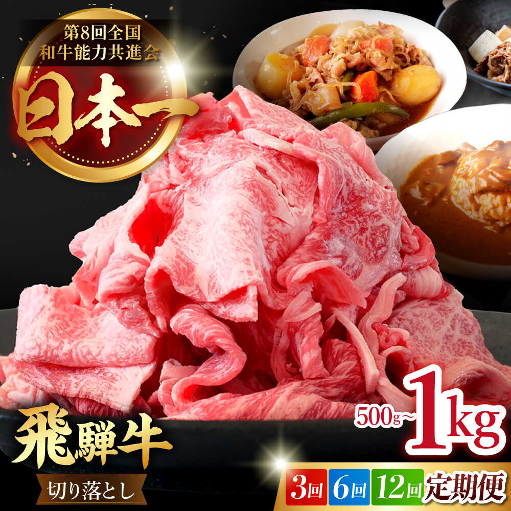 【ふるさと納税】【選べる容量・定期便回数】【 飛騨牛 】切り落とし 500g〜1kg 牛肉 国産 ブランド牛 和牛 多治見市/肉のひぐち [TDC010]