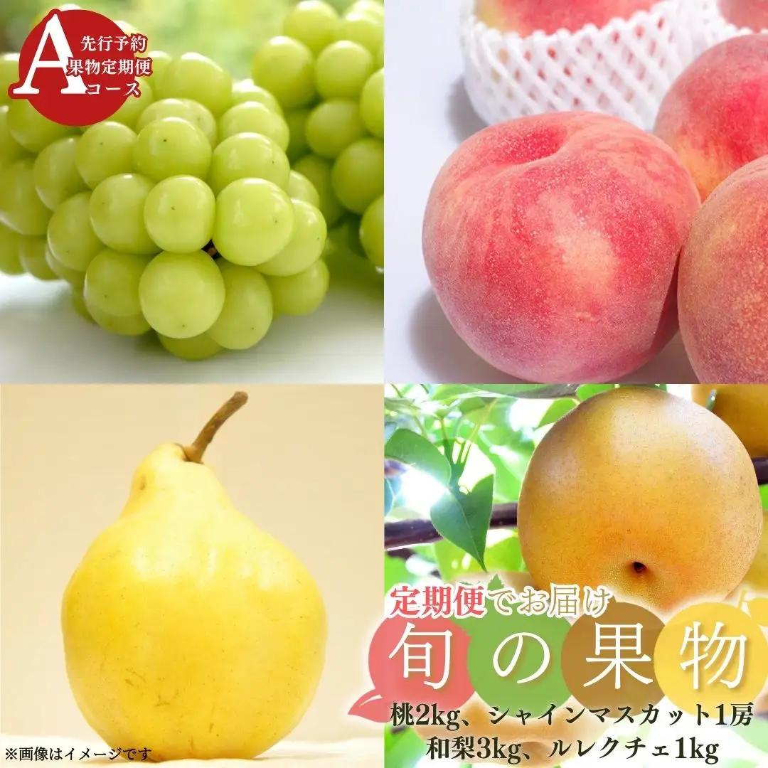 先行予約 フルーツ 定期便 全4回 フルーツ定期便 Aコース (桃2kg、シャインマスカット1房、和梨3kg、ル レクチェ1kg) 令和8年度 新潟県 フルーツ 定期便