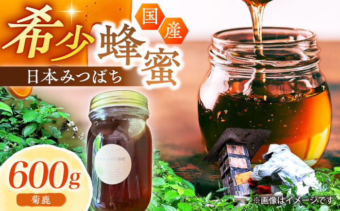 日本みつばち菊鹿約600g【山麓はっち】 [ZBM011]