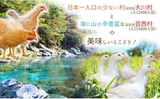【大川村と芸西村の共通返礼品】はちきん地鶏 もも肉 1kg＆土佐鴨 鴨鍋肉（2～3人前）セット 地鶏 モモ肉 鶏肉 鴨 鴨肉 かも肉 とり肉 とりにく 肉 高知県 大川村 F6R-012
