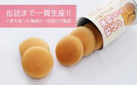 【災害備蓄用】米粉で作った乾パン3セット【 エルフィン】｜ 国産 安心 安全 米粉パン 米粉 アレルギー アレルギーフリー アレルギー対応 乾パン 食物アレルギー特定原材料28品目使用無し 子ども 赤