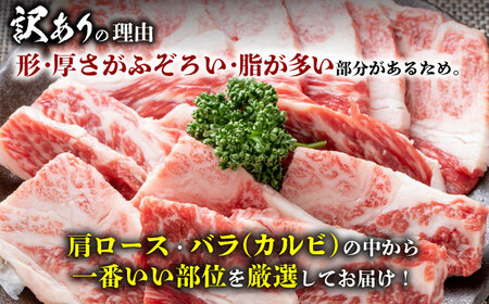 【全12回定期便】【訳あり】おおいた豊後牛 焼肉 切り落とし 1kg(500g×2P) 日田市 / 株式会社MEAT PLUS　牛 うし 黒毛和牛 和牛 豊後牛[AREI136]