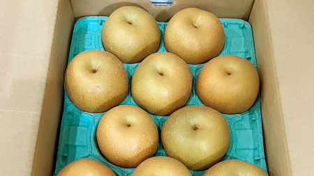 茨城県産 梨 秋月 （約 5kg ） 10～16玉 フルーツ 果物 なし ナシ 旬 新鮮 期間限定 甘い 国産