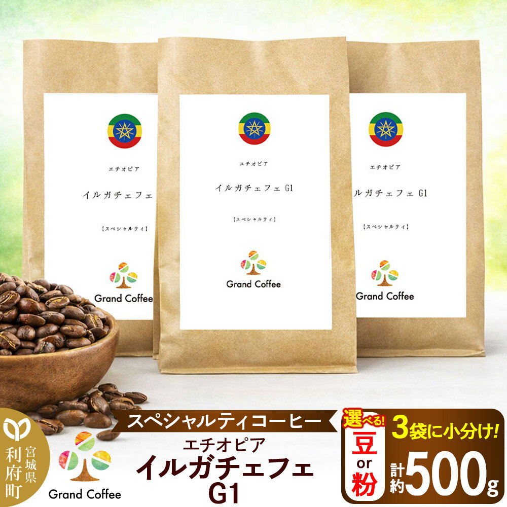 【ふるさと納税】コーヒー エチオピア イルガチェフェG1 （3袋 計約500g） 宮城県利府町