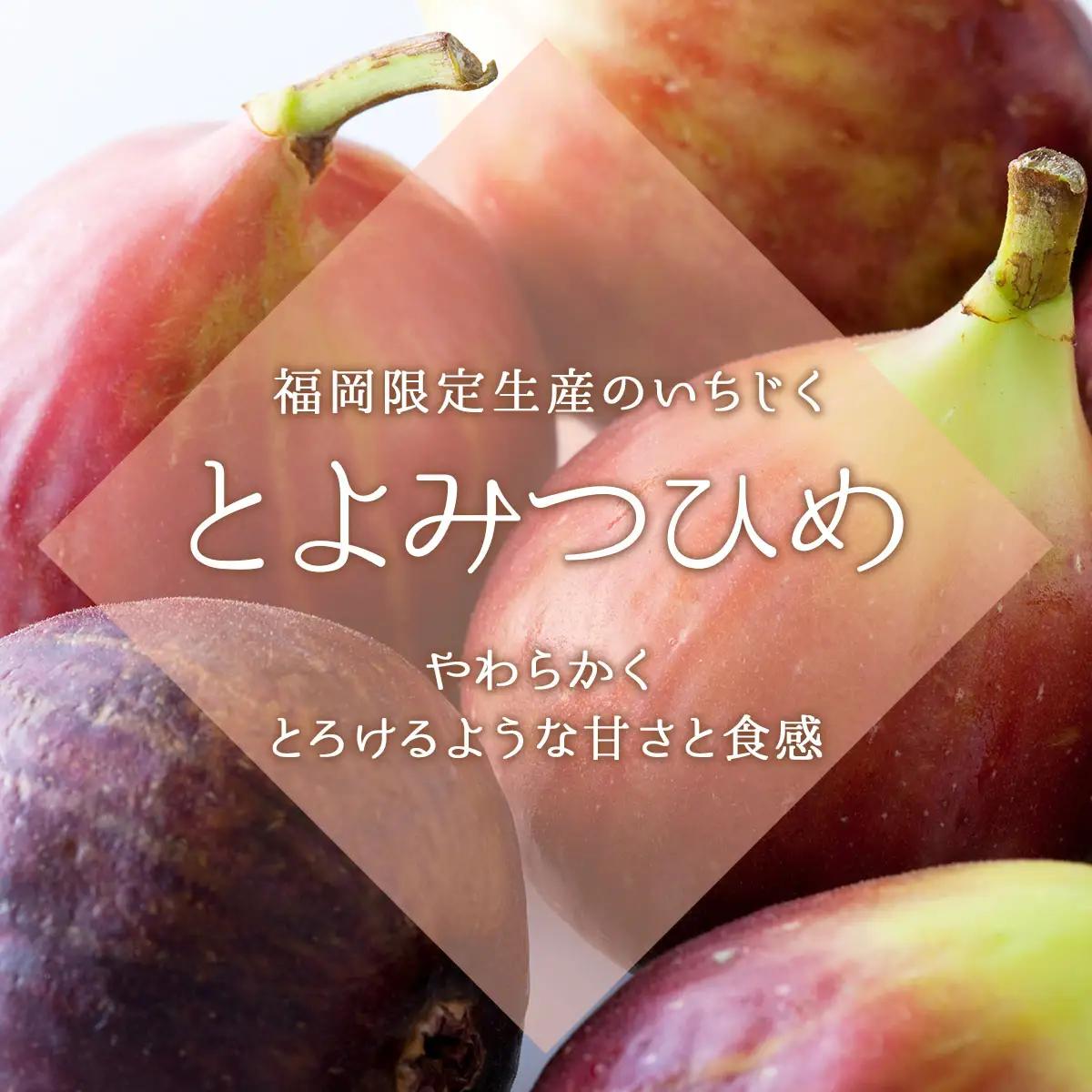 福岡限定!ブランドいちじく「とよみつひめ」約300g×8パック(篠栗町)【NF002】