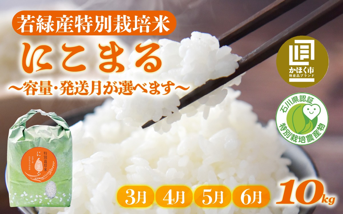 
                  【先行予約 令和7年産】【発送月が選べる】若緑産 特別栽培米「にこまる」10kg（5kg × 2袋）【2026年3月～6月発送】 / 令和7年産 米 単一原料米 ニコマル 国産 こめ コメ 食品 常温 ご飯 お取り寄せ 10キロ
                