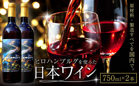 日本ワイン 750ml 2本《30日以内に出荷予定(土日祝除く)》 ワイン