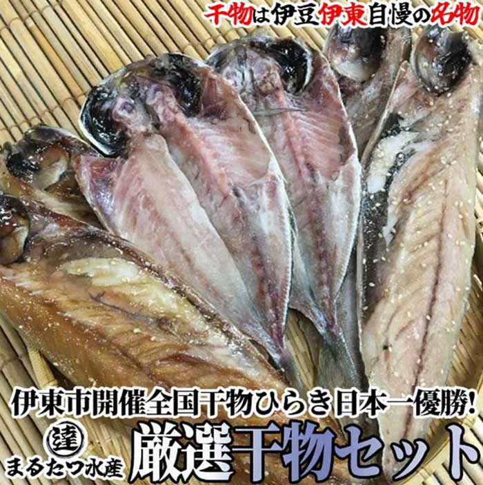 【ふるさと納税】伊豆・伊東 丸達水産 厳選ひものセット