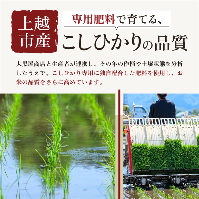 【7月上旬配送】上越市産 新潟 コシヒカリ 5kg こしひかり お米 精米 米 ご飯