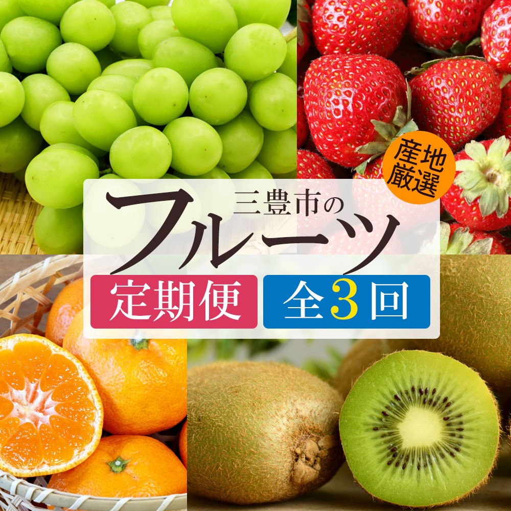 
            定期便 全3回 シャインマスカット さぬき姫 旬のフルーツ 温州みかん [ フルーツ定期便 果物定期便 定期配送 国産フルーツ 旬フルーツ 産地直送 食べ比べ 家庭用 ギフト お取り寄せ フルーツセット 香川県 三豊市 温州 みかん ]
          