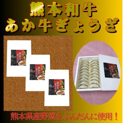 ふるさと納税 小国町 熊本和牛あか牛 ぎょうざ 計60個セット(小国町) |  | 02