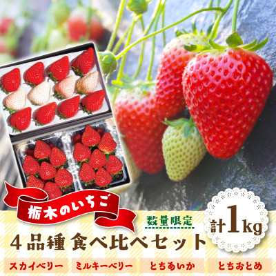 【先行予約・数量限定】いちご王国ならでは!栃木のいちご4品種食べ比べセット　2027年1月～発送開始【配送不可地域：離島・沖縄】【1389625】