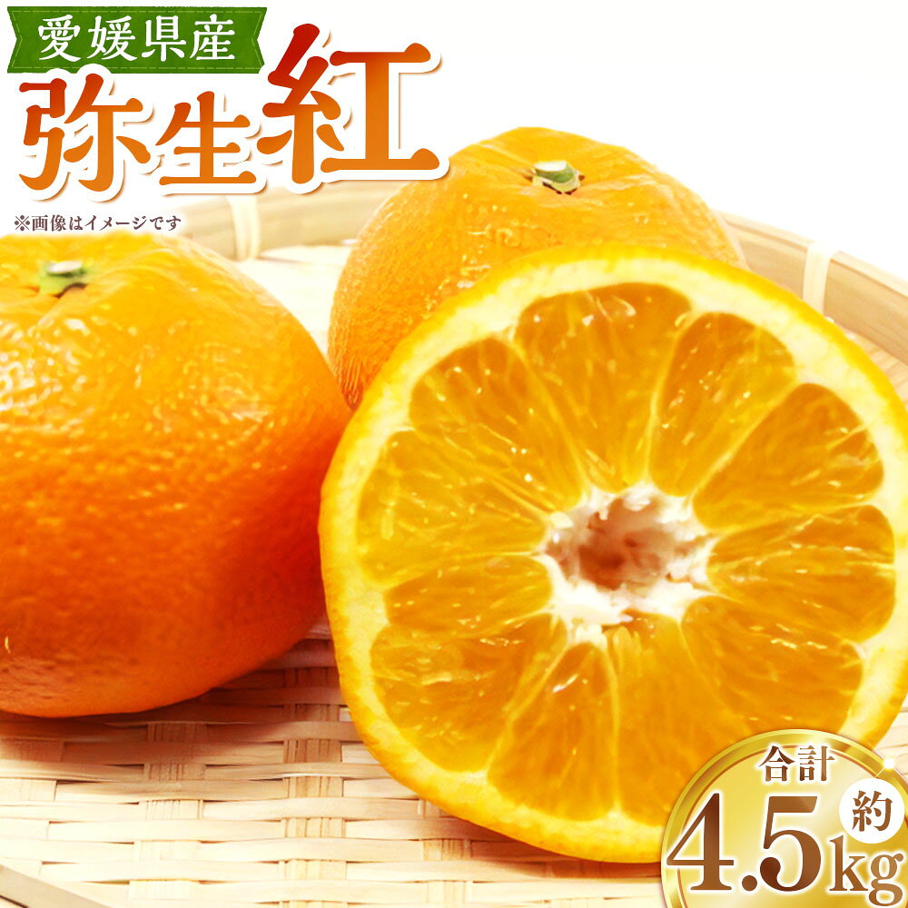 【ふるさと納税】 弥生紅 約4.5kg 2L～L 伊予柑 いよかん 柑橘 かんきつ フルーツ くだもの 果物 果実 デザート 愛媛県産 国産 愛媛県 送料無料 【2027年3月上旬発送予定】（1123）