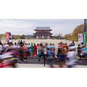 奈良マラソン2025出走権(マラソン種目)1人分【1626986】