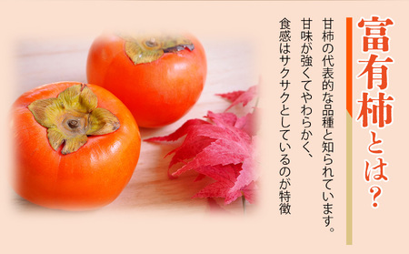 富有柿 化粧箱 入り 大玉 3L サイズ 11個 |  果物 柿 贈答 熊代農園