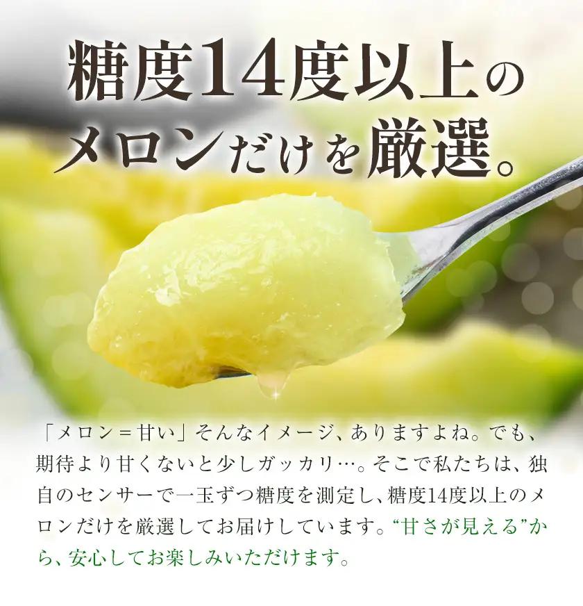 アールスメロン 2玉 2L～3Lサイズ メロン《9月上旬-12月上旬頃出荷》熊本県 菊池市 果物 フルーツ 青果物 菊池市産 熊本県産 九州産 国産 送料無料