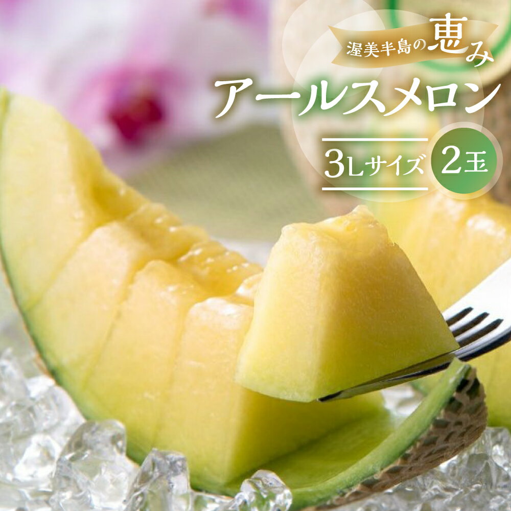 【ふるさと納税】先行予約 日研農園 アールスメロン　3L×2玉入 ／ めろん フルーツ 果物 ジューシー 愛知県 特産品 箱詰め フルーツ 果物 8月 お取り寄せ 渥美半島 田原市 産地直送 夏 送料無料 高糖度 メロン 糖度 メロン 青肉