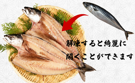 一汐さば 8kg さば さば さば さば さば エドノフーズ