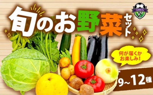 野菜 詰め合わせ おまかせ 野菜詰合せ （9～12種） 野菜 詰合せ 9～12種  旬 まんさいかん ボックス 静岡県 藤枝市